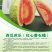 西瓜番石榴苗30~50cm