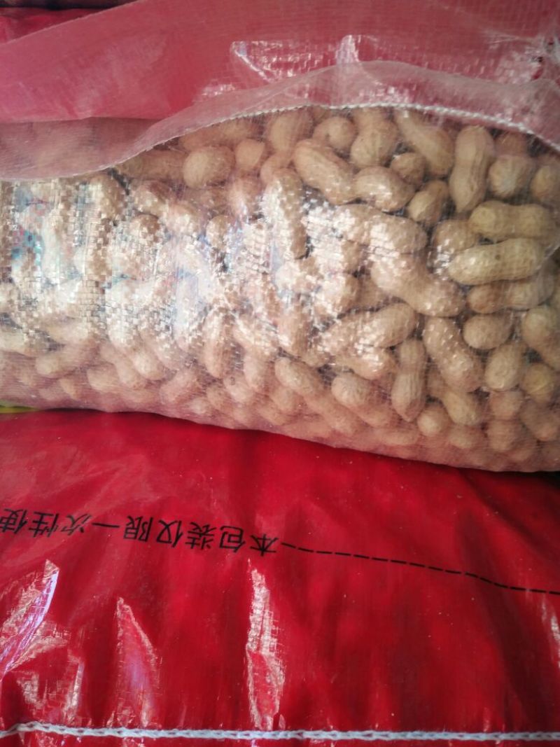 辽宁小日本花生干货带壳精选花生果炒货厂食品厂都可以用