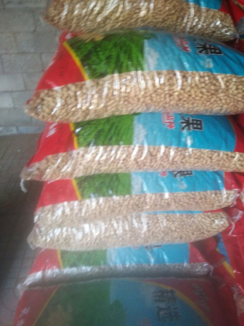 辽宁小日本花生干货带壳精选花生果炒货厂食品厂都可以用