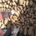苏薯8号红薯3两以上商品薯红心