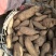 苏薯8号红薯3两以上商品薯红心
