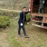 茶苗产地直供！苗好，粗壮根系发达，成活率高，欢迎新老顾客