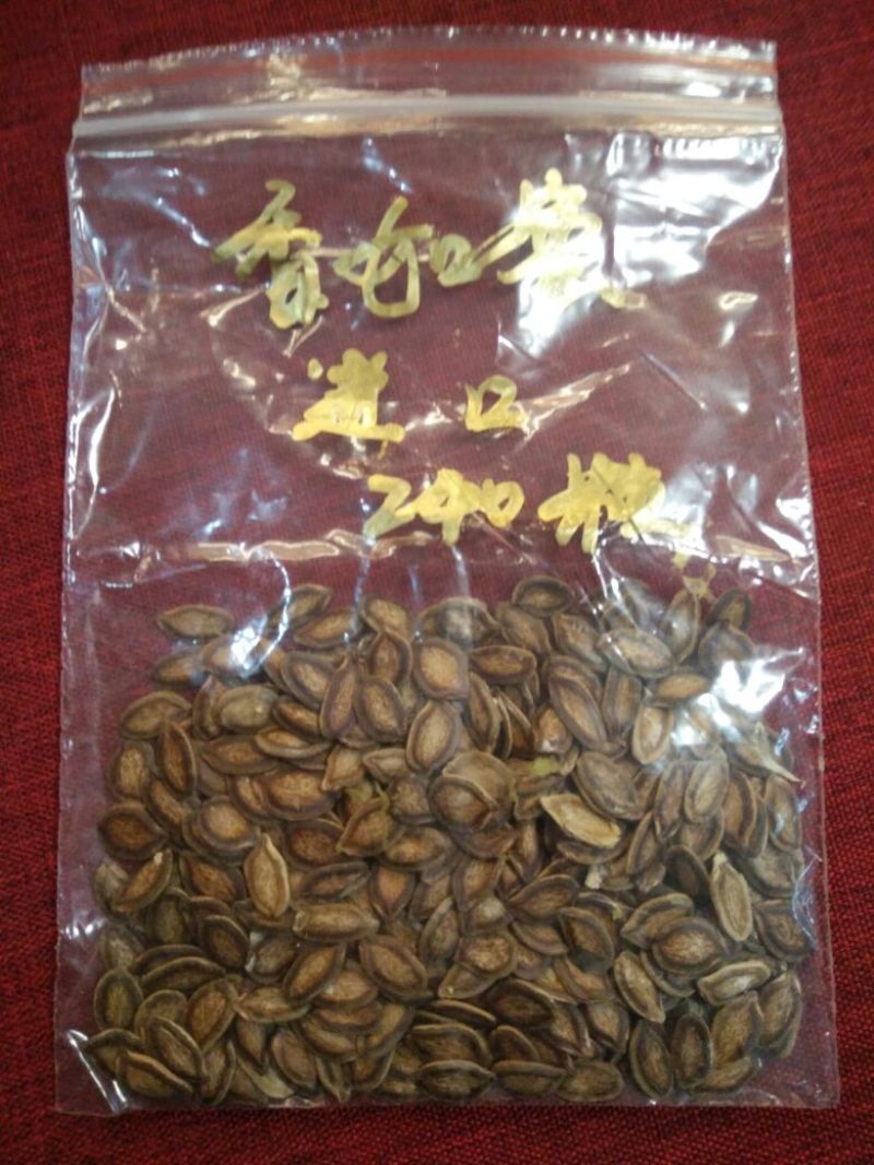 香如蜜圆柱形