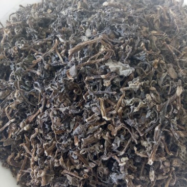 马齿苋干