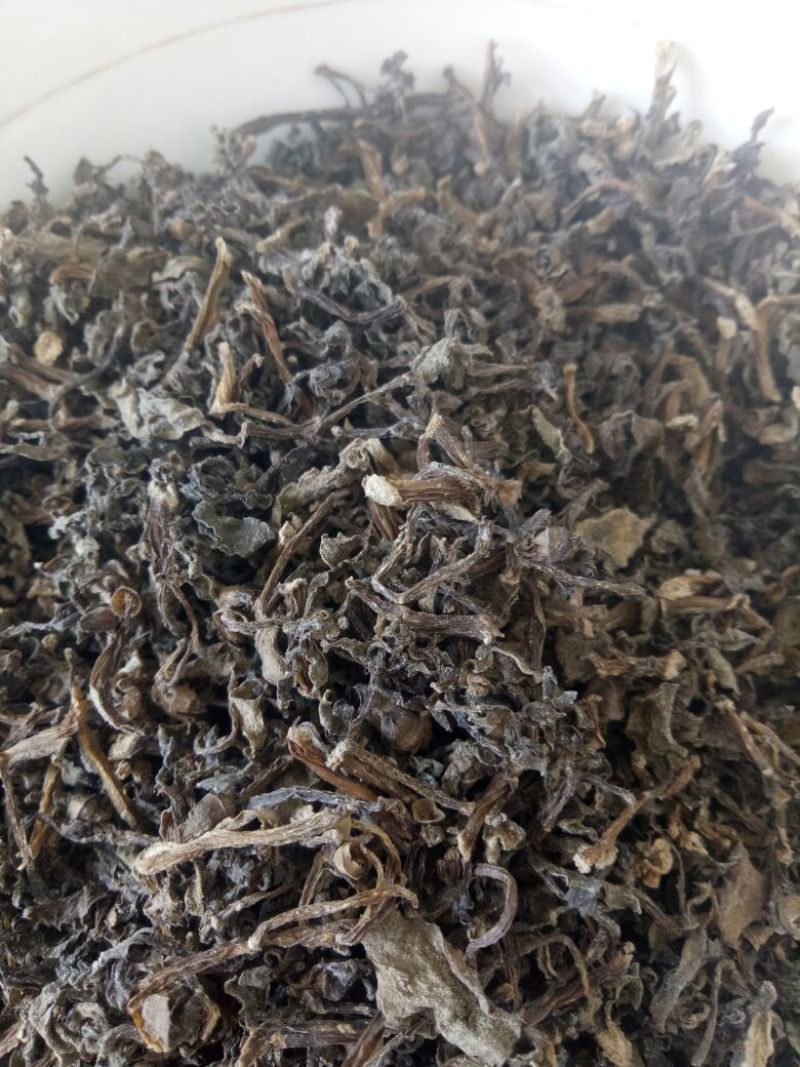 马齿苋干