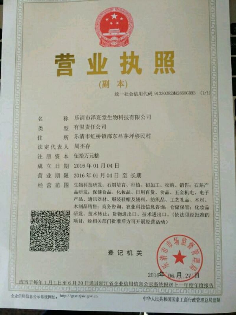 雁荡山铁皮石斛红杆软脚苗铁皮石斛二年半驯化苗量大从优