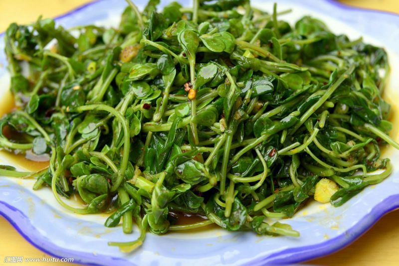 马齿苋干