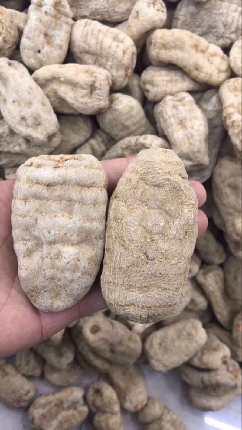 天麻特级