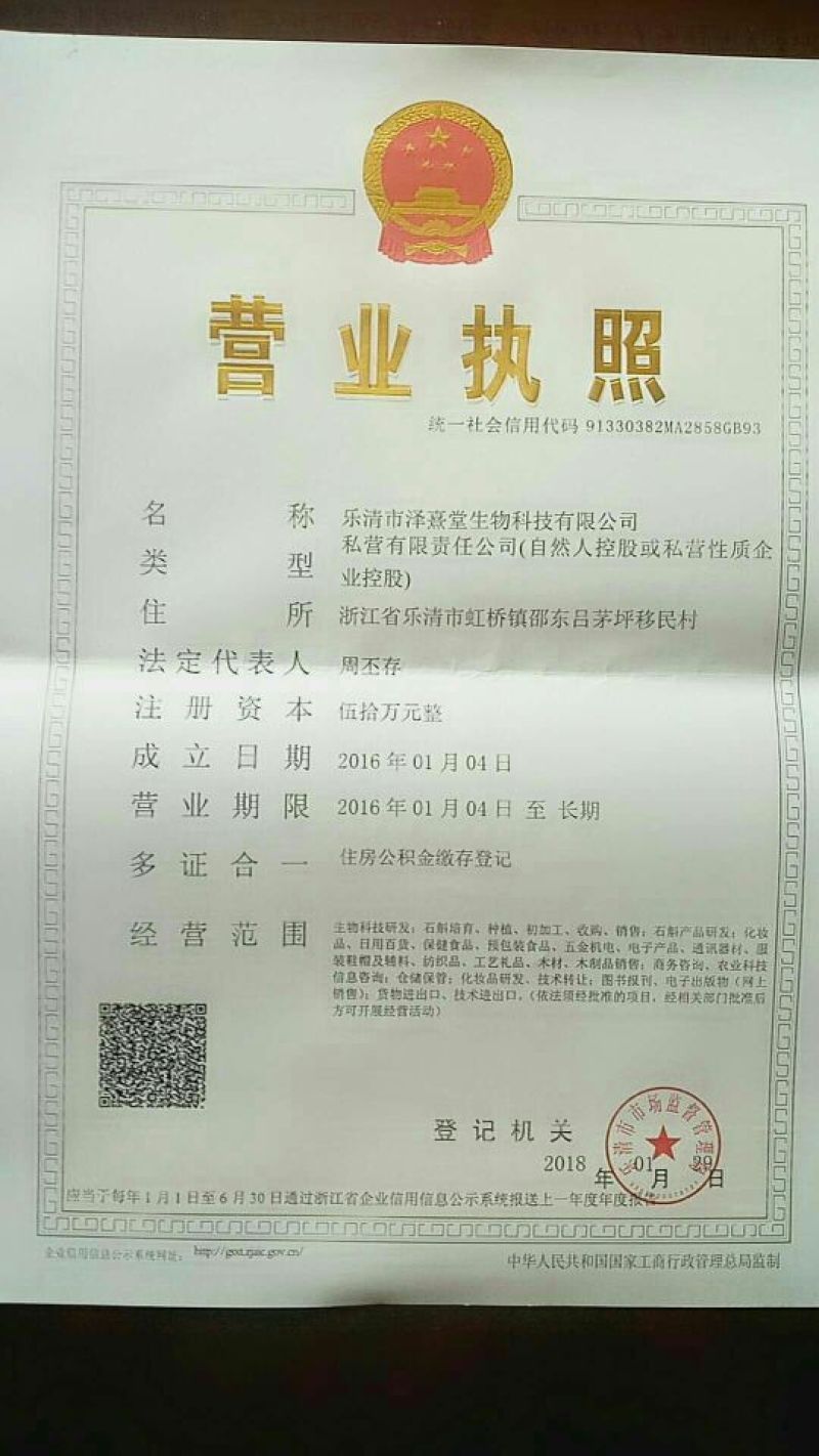 铁皮石斛盆花铁皮石斛黑盆盆栽量大从优