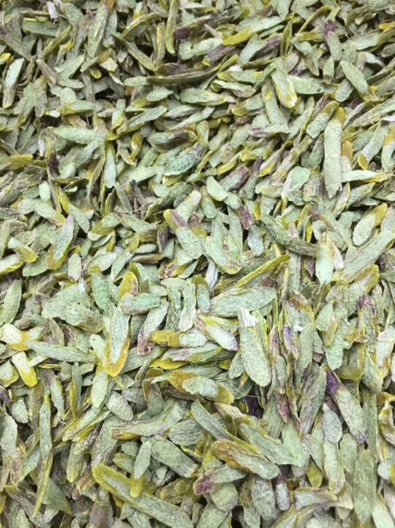 雁荡山铁皮石斛切片量大从优