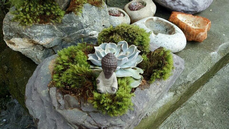 花盆石头花盆