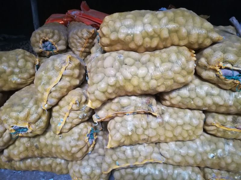 青薯9号土豆精品4两以上