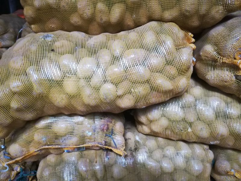 青薯9号土豆精品4两以上