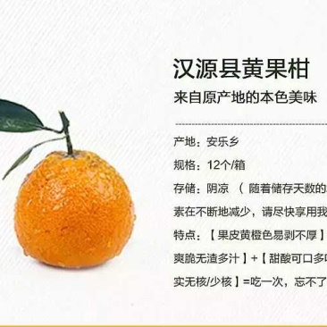 黄果柑1.5~2cm