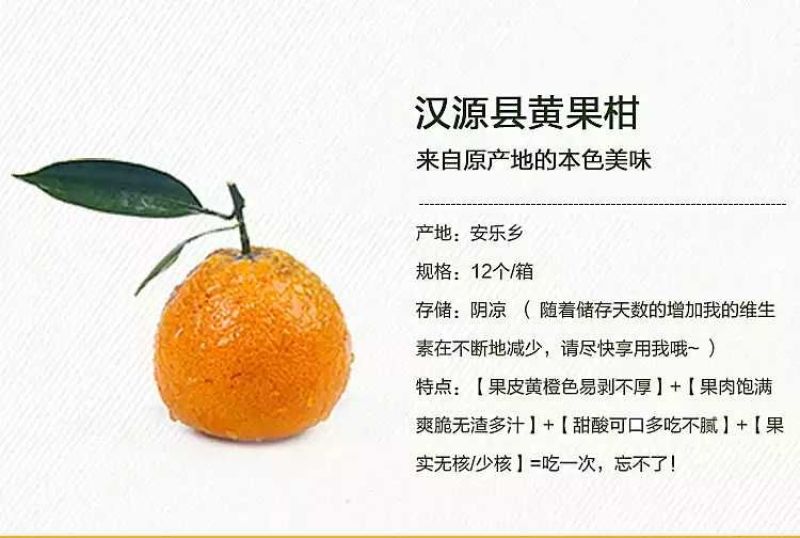 黄果柑1.5~2cm