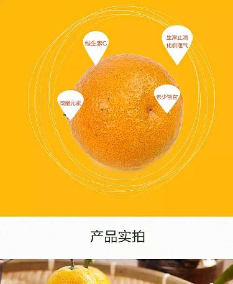 黄果柑1.5~2cm