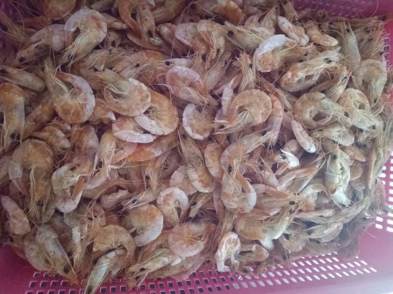 对虾干