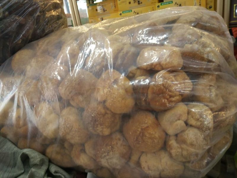 【自产自销】东北猴头菇干货长白山特产农家深山野生猴头菇