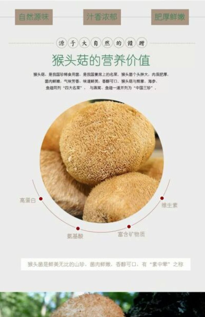 【自产自销】东北猴头菇干货长白山特产农家深山野生猴头菇
