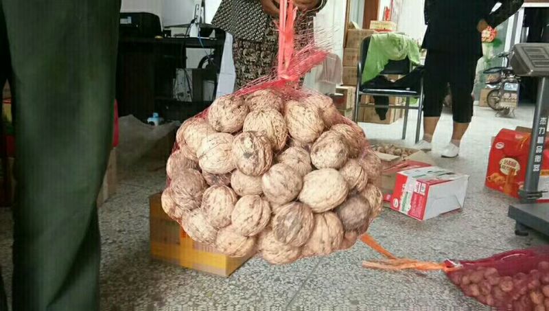 核桃25~30mm去皮干