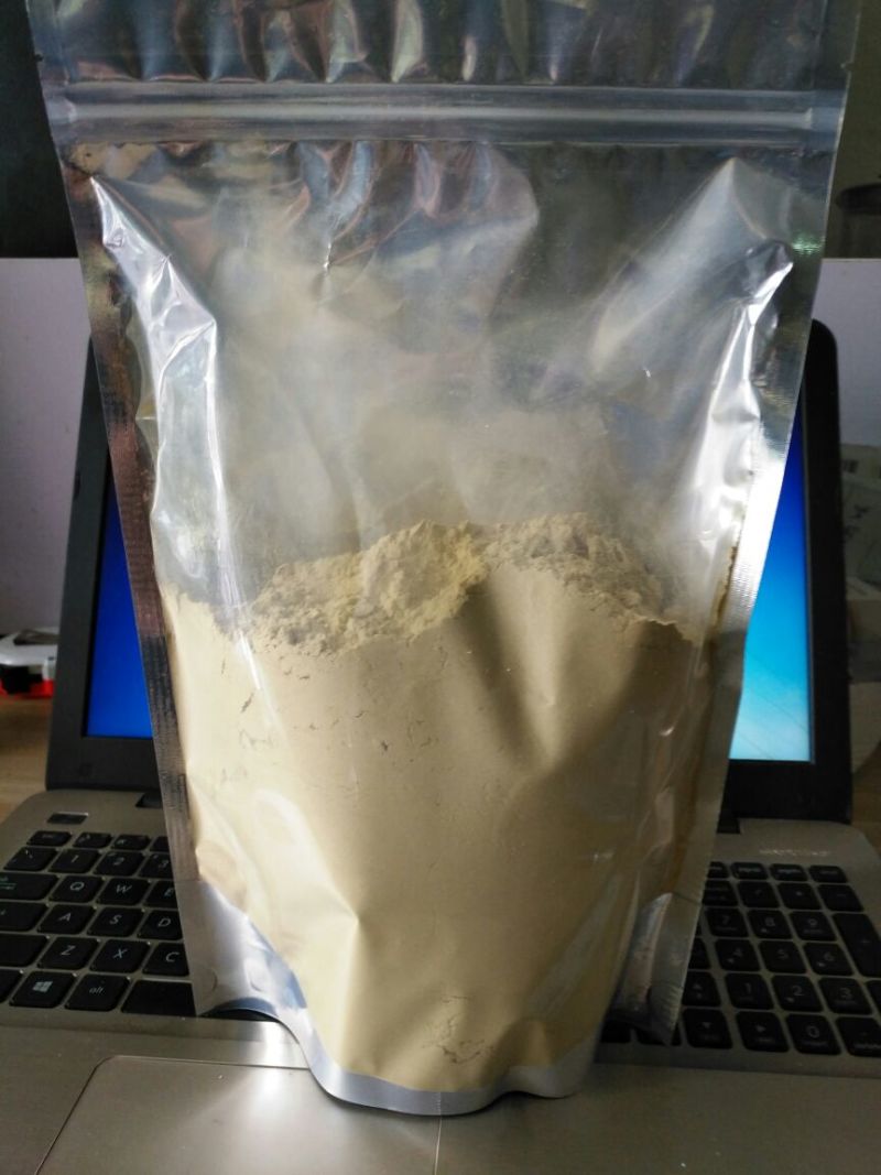 浙江雁荡山特级铁皮石斛粉量大从优欢迎咨询