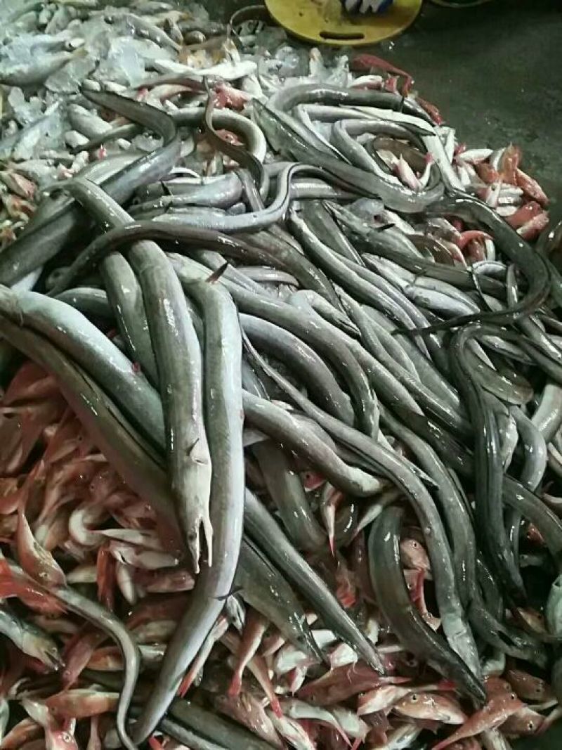 鱼丸
