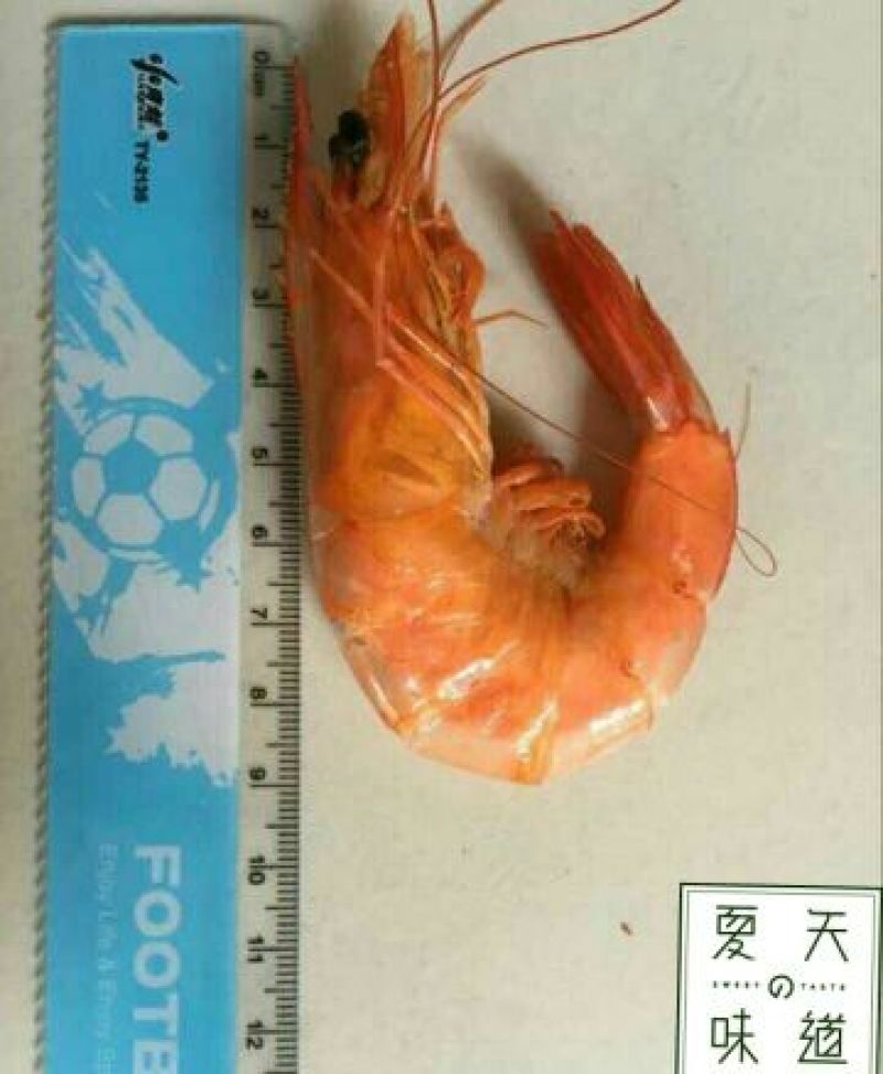 烤虾，对虾，开袋即食1斤包邮
