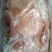 鳐鱼5公斤/尾以上食用