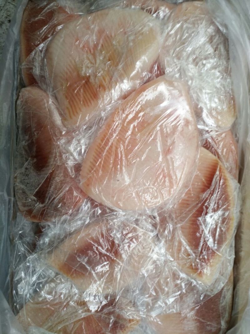 鳐鱼5公斤/尾以上食用