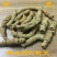 巴戟天二级鲜货，开挖批次不同，老嫩不同，详情请咨询