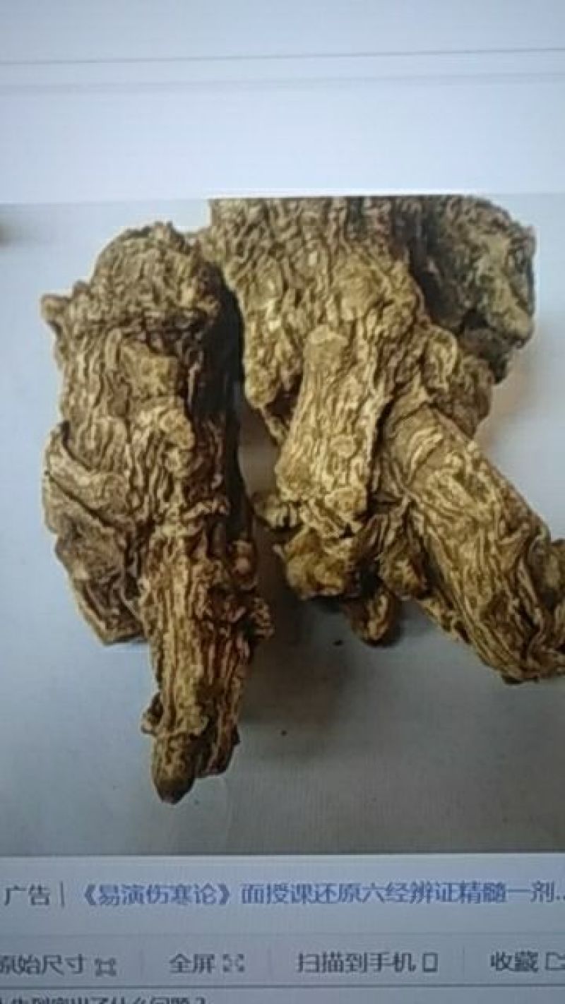 当归特级当归头1斤15个丽江特级当归头