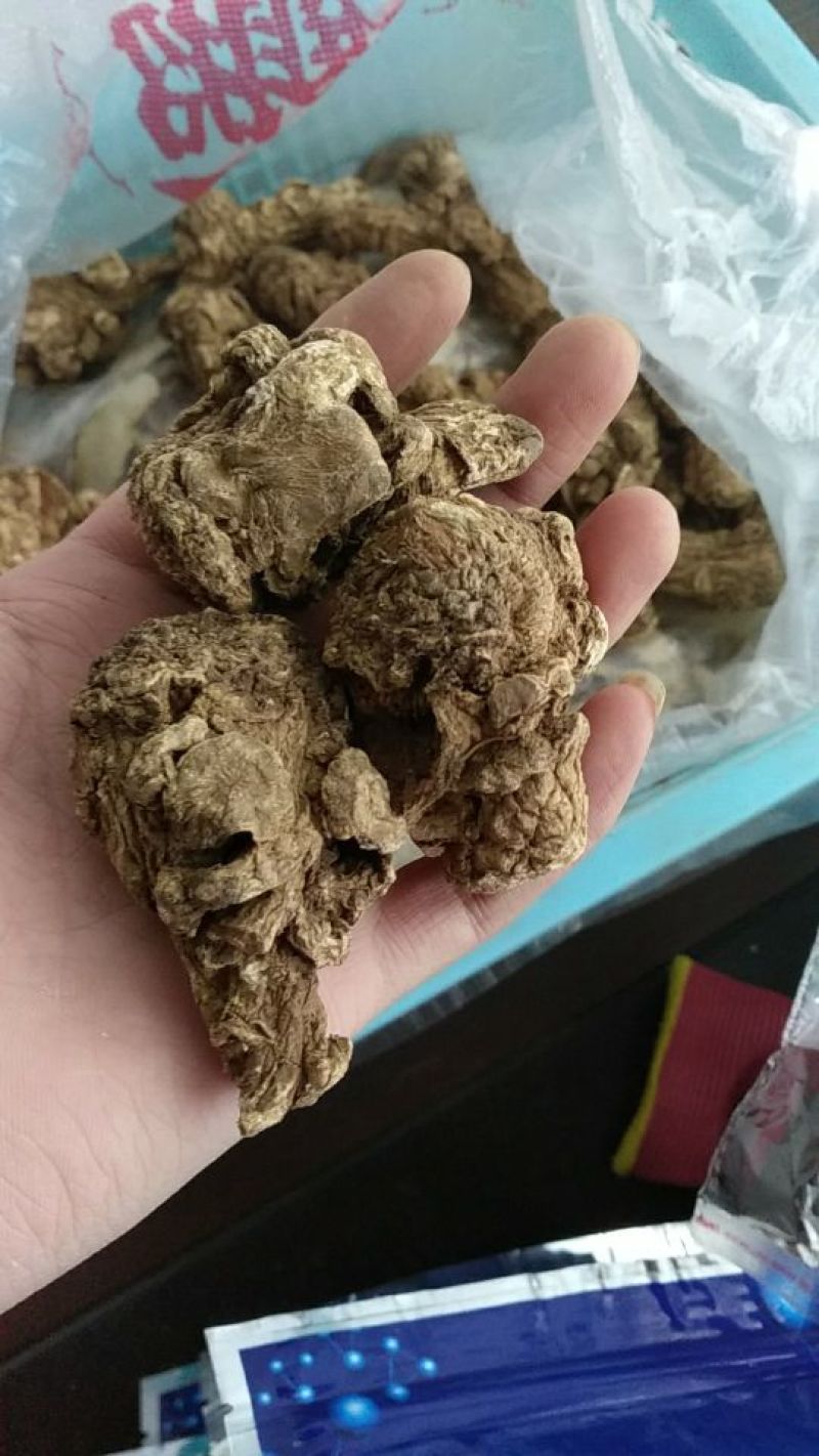 当归特级当归头1斤15个丽江特级当归头