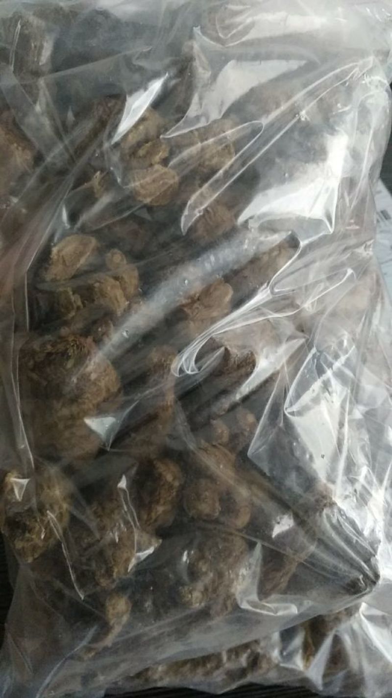 当归特级当归头1斤15个丽江特级当归头