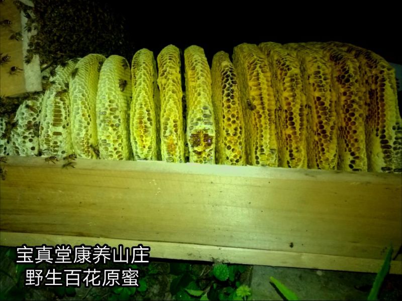 野山花蜂蜜2斤