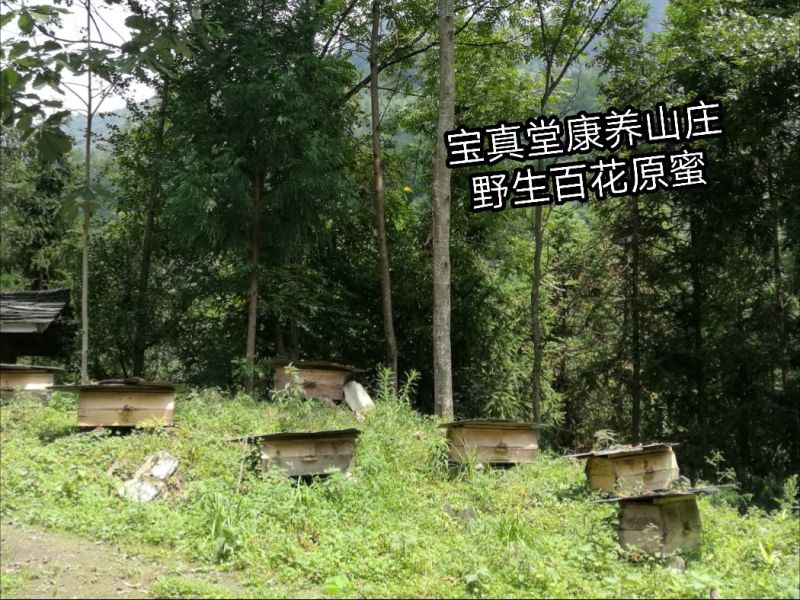 野山花蜂蜜2斤
