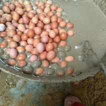 鸡蛋50~60g食用
