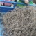 何首乌种子95%以上
