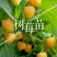 果酒树莓酒树莓干双季红树莓酒批发诚招代理