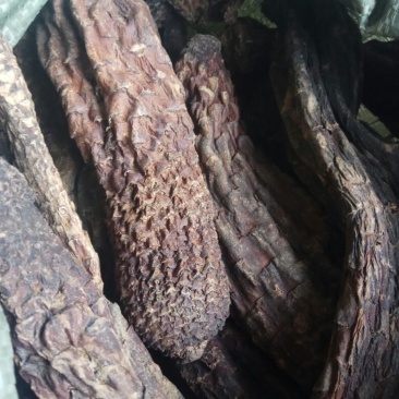 肉苁蓉大云大芸内蒙古优级肉苁蓉阿拉善肉丛蓉500克批包邮
