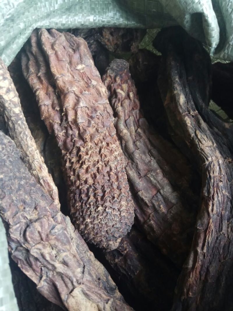 肉苁蓉大云大芸内蒙古优级肉苁蓉阿拉善肉丛蓉500克批包邮
