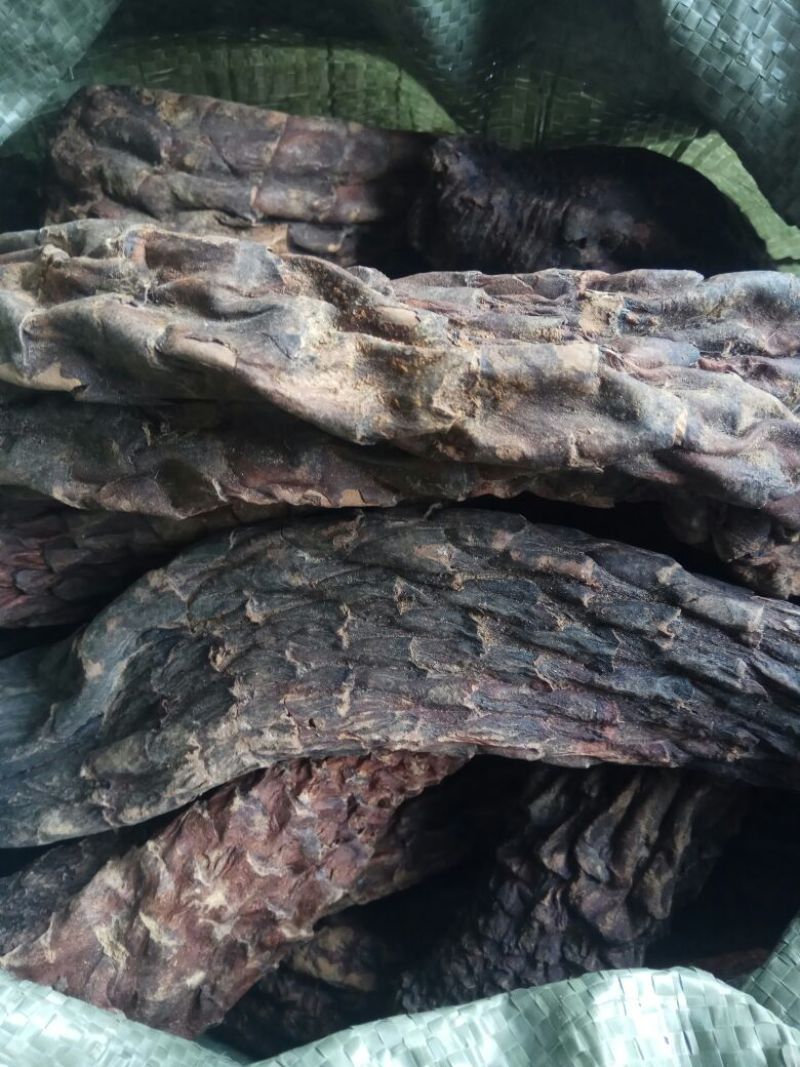 肉苁蓉大云大芸内蒙古优级肉苁蓉阿拉善肉丛蓉500克批包邮