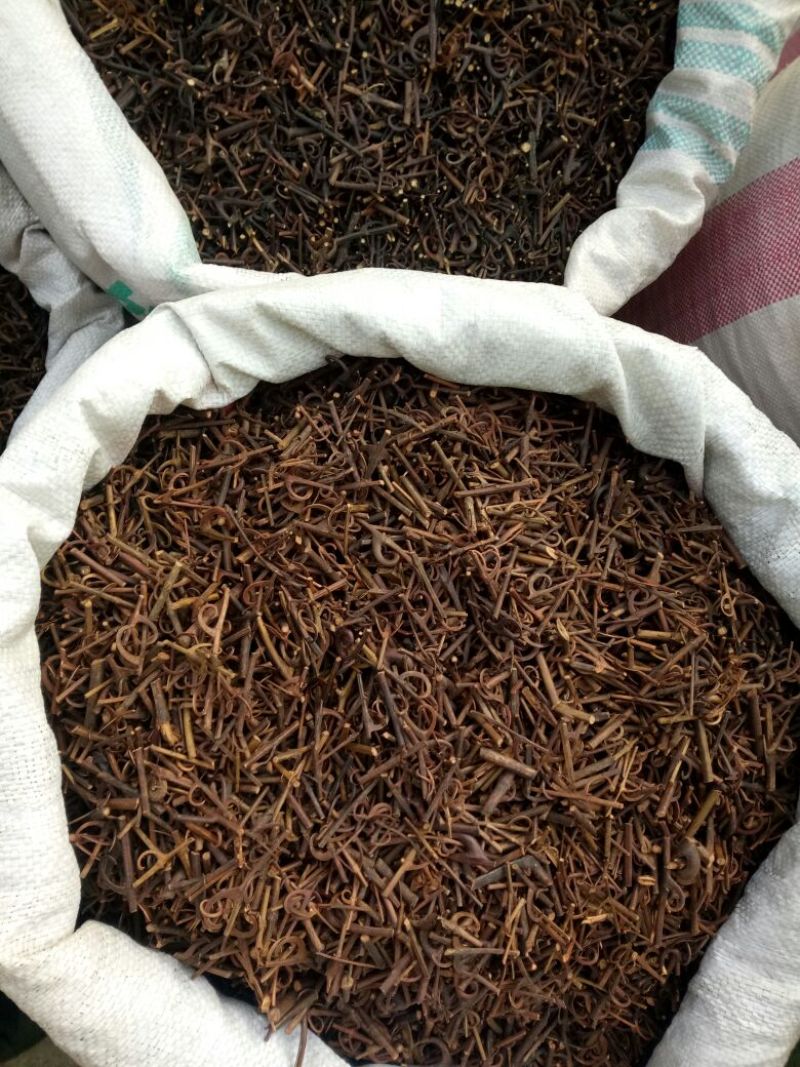 钩藤双钩各种规格2斤起包邮量大从优