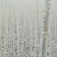 107杨树261~300cm