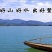 生态甲鱼2.5~3斤