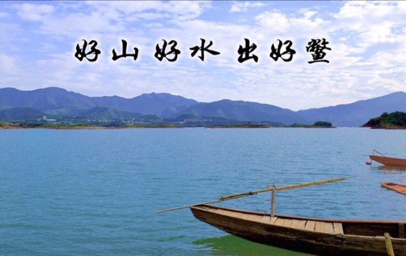 生态甲鱼2.5~3斤