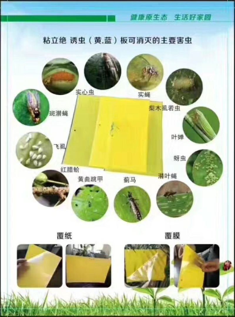 粘虫板黄板篮板尺寸20厘米乘25厘米