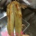 烤鱼片