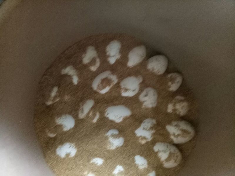 土鹅蛋食用
