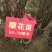 樱花苗樱花树苗嫁接樱花苗日本樱花早樱晚樱小苗盆栽庭院绿化
