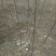 辽核1号核桃苗1~2年100~150cm
